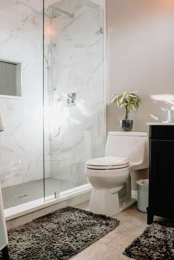 Bathroom toilet beside a tiled walk-in shower